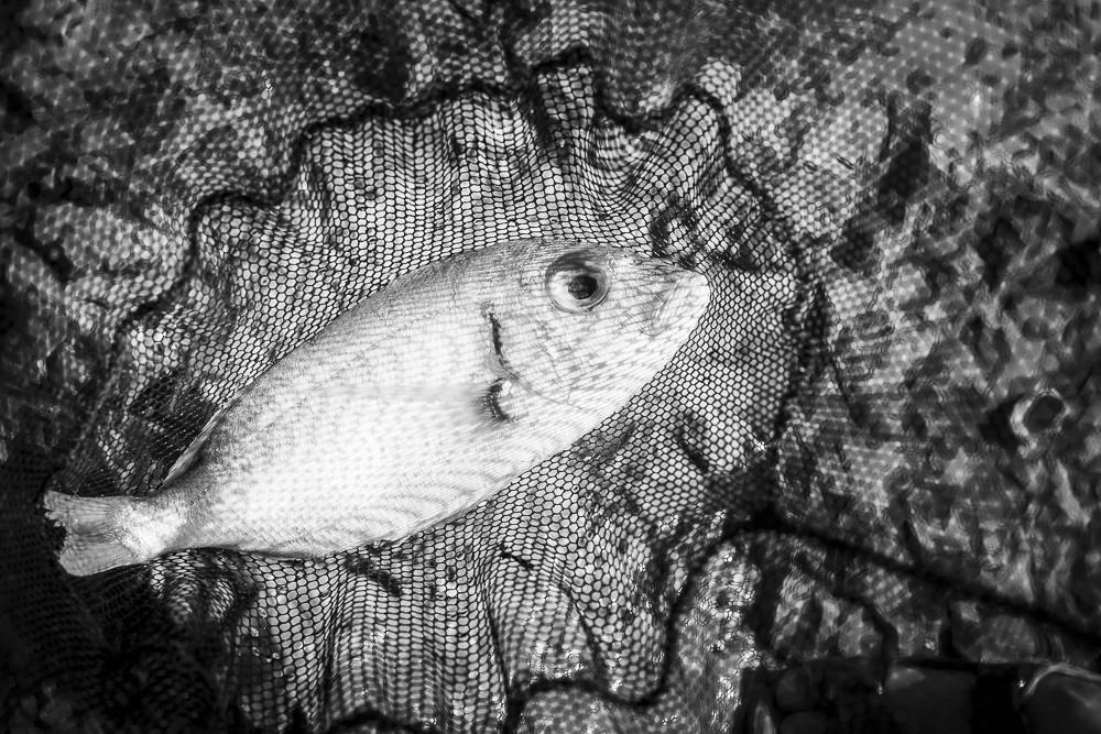 Places to visit in Italy with children : Gaeta and Serapo, Old town, white sand beaches, and safe water for children to pretend fish with a net! Vacation Portraits Italy